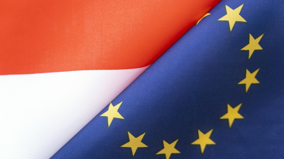 Flagi Unii i Polski opisują implementacje przepisów w kraju co omawia krótki przewodnik po dostępności dla firm.